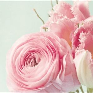 Meet your Posher, Kamola